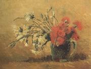 Vase with Red and White Carnations on Yellow Background (nn04)